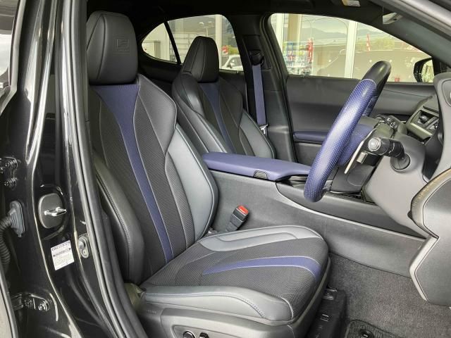 LEXUS UX250h