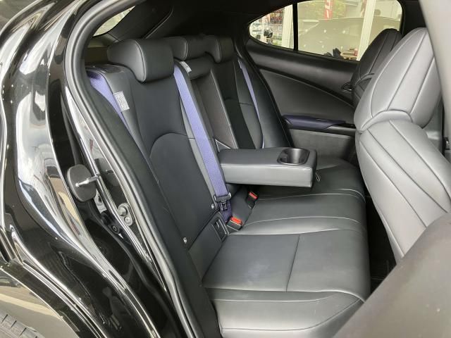 LEXUS UX250h