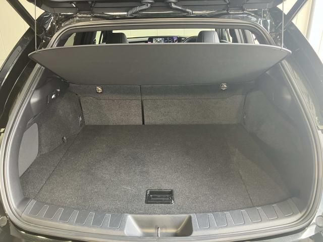 LEXUS UX250h