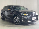 LEXUS UX250h