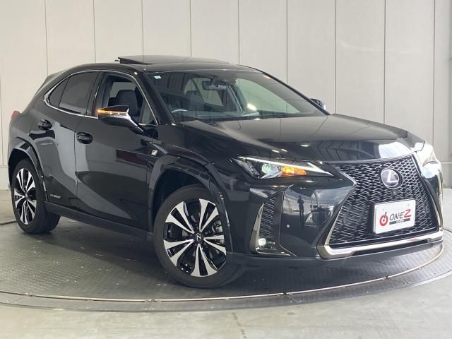 LEXUS UX250h