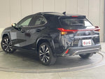 LEXUS UX250h