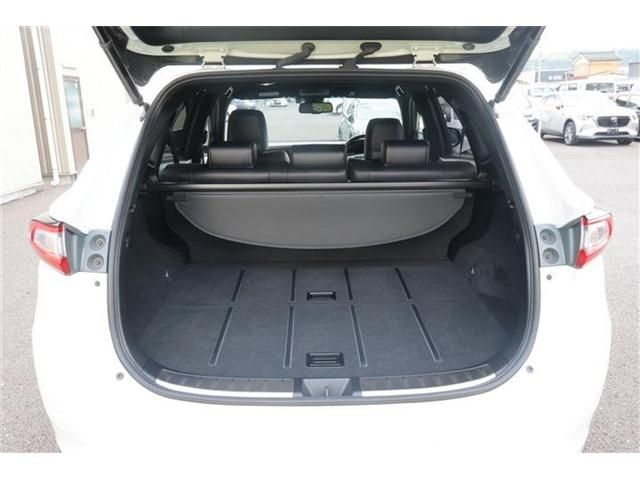 HARRIER HYBRID