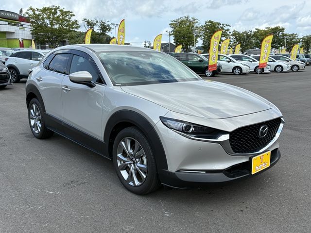 CX-30