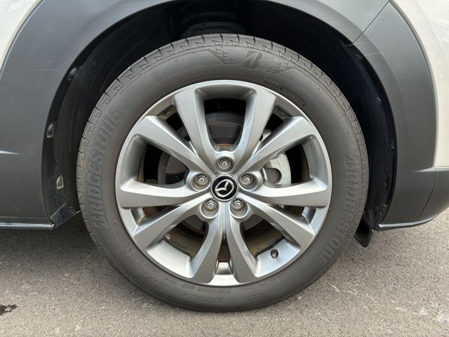 CX-30