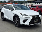 LEXUS NX300