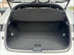 LEXUS NX300