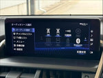 LEXUS NX300