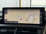 LEXUS NX300