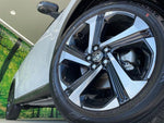 RAIZE HYBRID