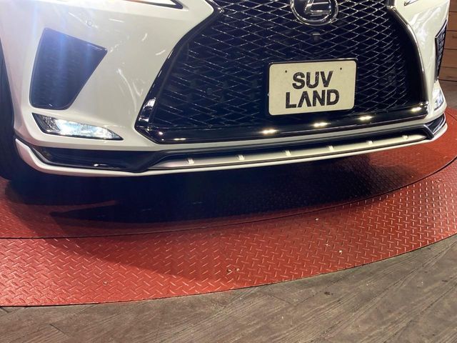 LEXUS RX300
