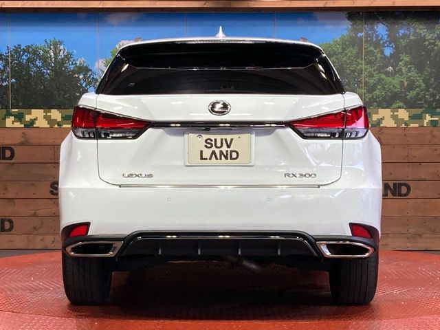 LEXUS RX300