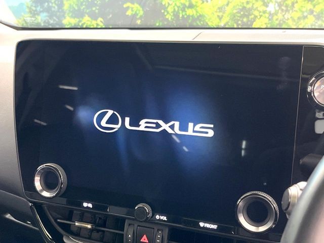 LEXUS NX350h