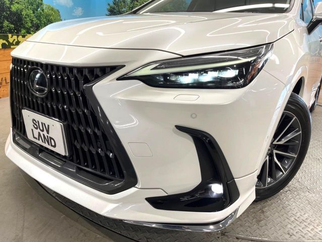 LEXUS NX350h