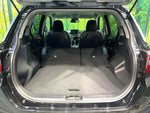 RAIZE HYBRID