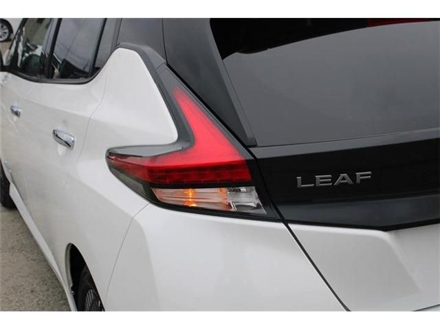 LEAF