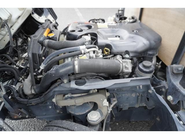 ELF