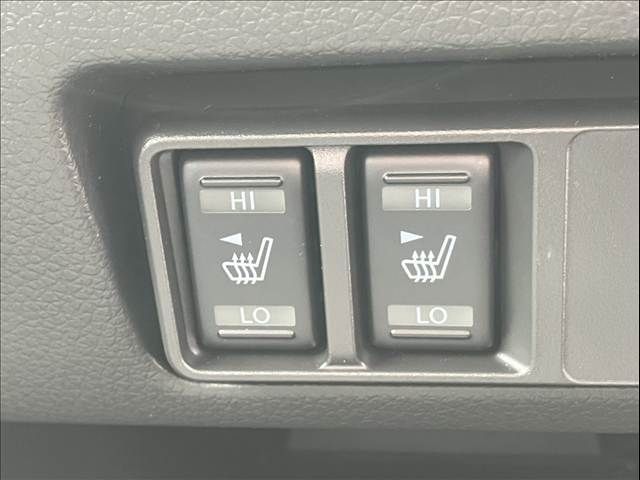 CARAVAN van 4WD