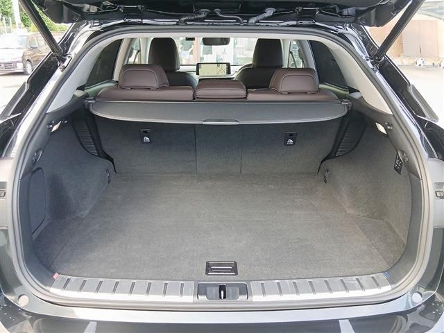 LEXUS RX450h AWD