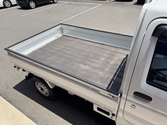CARRY truck