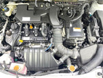 RAIZE HYBRID