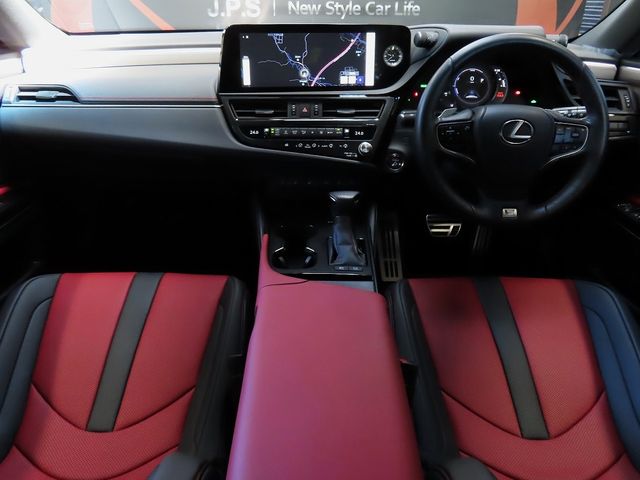 LEXUS ES300h