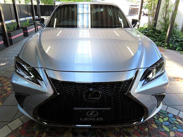 LEXUS ES300h