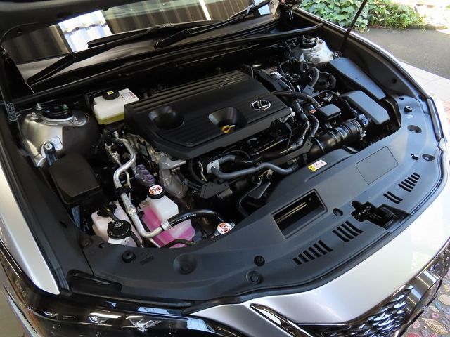 LEXUS ES300h