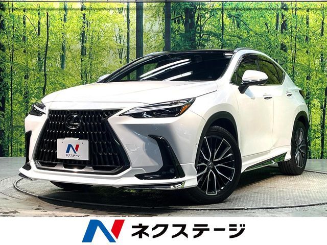 LEXUS NX350h