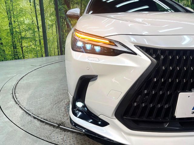 LEXUS NX350h