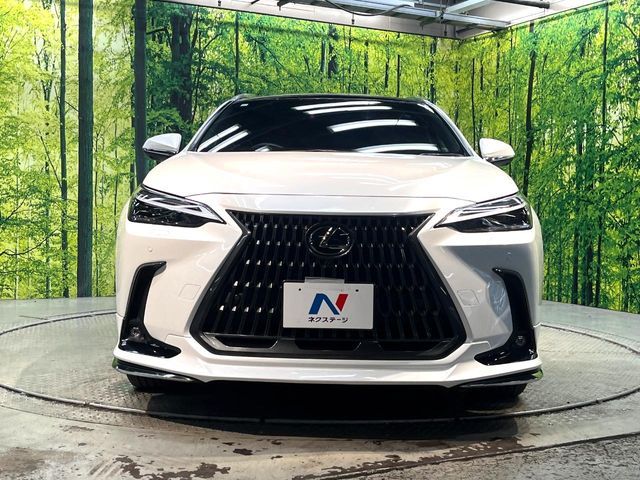 LEXUS NX350h