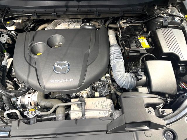 CX-8