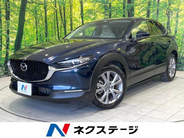 CX-30