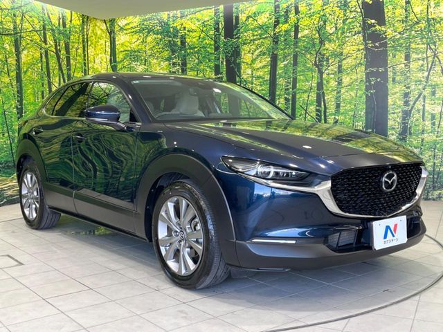 CX-30