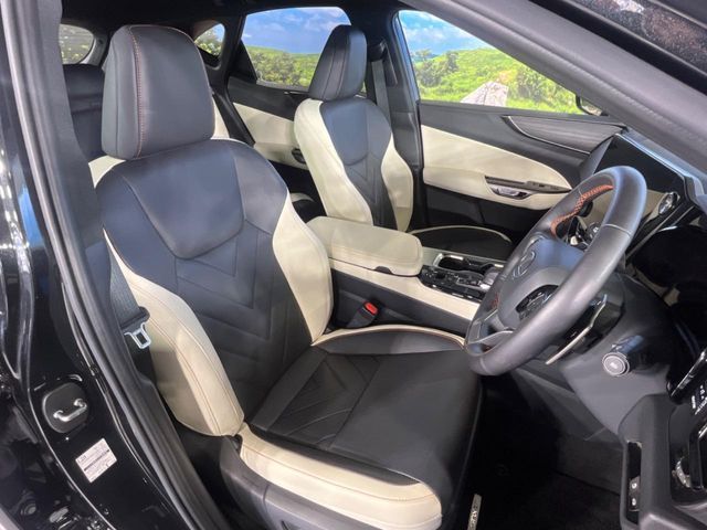 LEXUS NX350h
