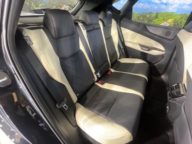 LEXUS NX350h