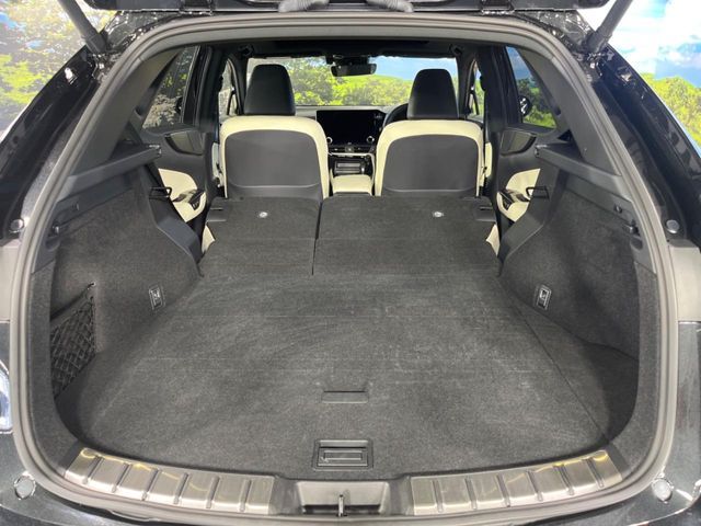 LEXUS NX350h