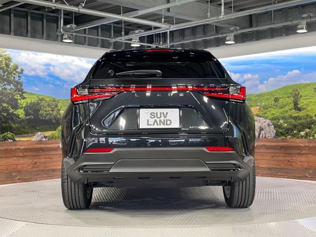 LEXUS NX350h