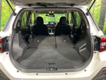 RAIZE HYBRID