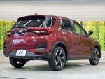 RAIZE HYBRID