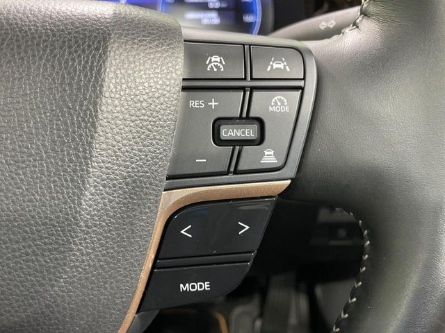 CROWN SPORT