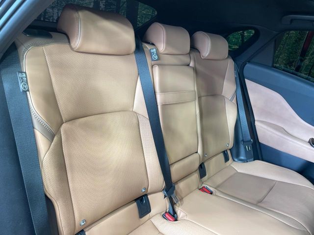 CROWN SPORT