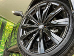 CROWN SPORT