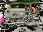 CROWN SPORT