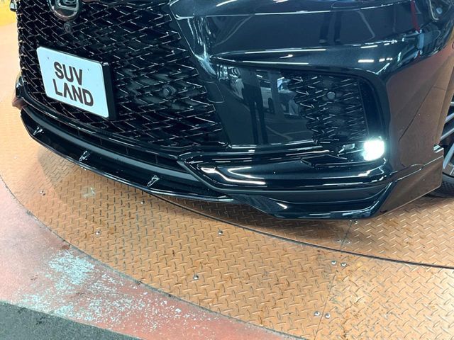 LEXUS RX500h