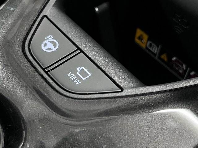 CROWN SPORT