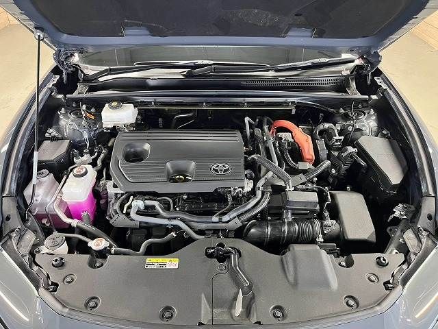 CROWN SPORT