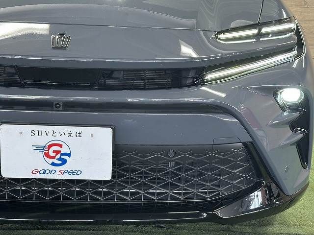CROWN SPORT