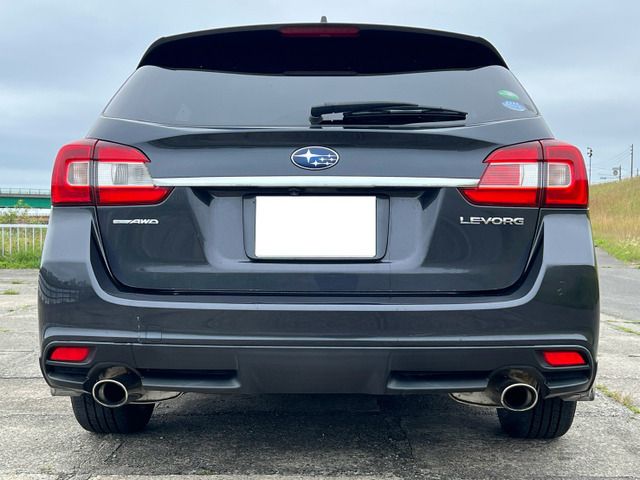 LEVORG