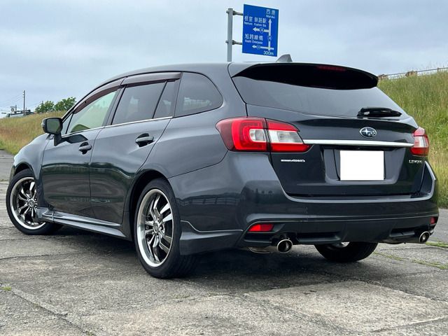 LEVORG